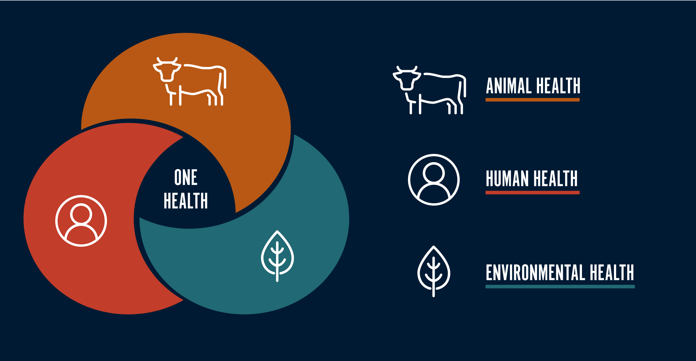 Supporting Animal Health & Well-Being | Impact Report